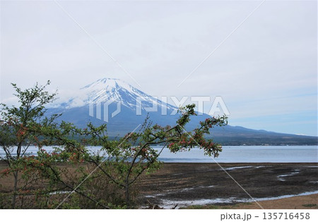 癒しの風景「富士山」 135716458