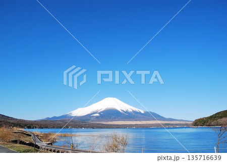 青空と 山中湖の間に 雄大な「富士山」 青空と 山中湖の間に 雄大な「富士山」 135716639