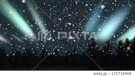 Image of snow falling over winter landscape at christmas 135716906