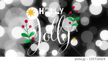 Image of holly text over christmas decoration on black background 135716929