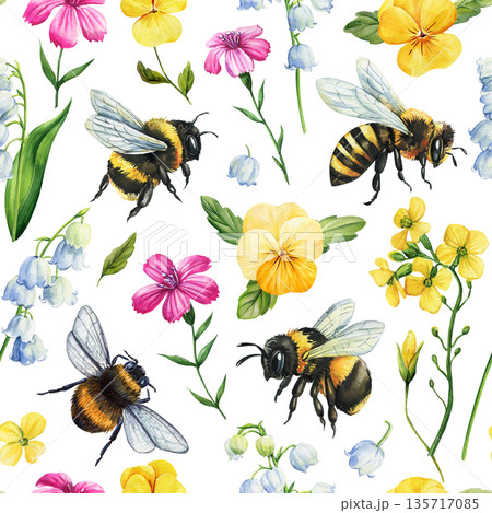 Watercolor bee pattern with bumblebees pansy lily of the valley bluebells and mustard flowers on white background Watercolor bee pattern with bumblebees pansy lily of the valley bluebells and mustard flowers on white background 135717085