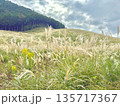 秋のススキ草原と山並み｜日本の自然風景 135717367