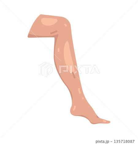 Illustration of leg Illustration of leg 135718087