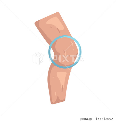 Illustration of knee Illustration of knee 135718092