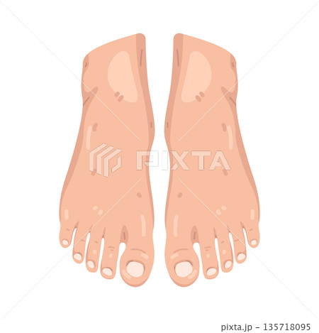 Illustration of foot  135718095