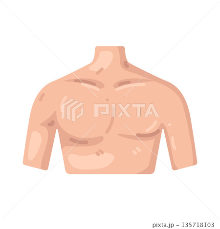 Illustration of torso Illustration of torso 135718103