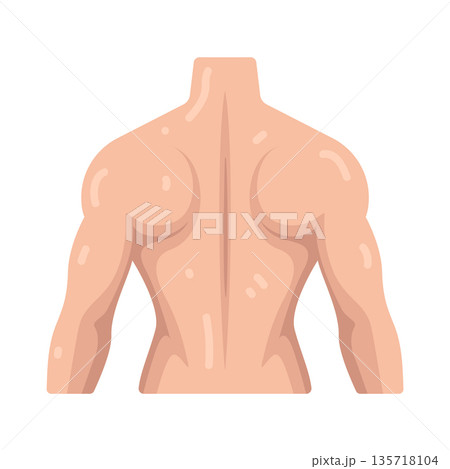 Illustration of back Illustration of back 135718104