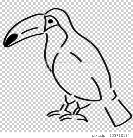 一隻大嘴鳥的單色插圖 135718154
