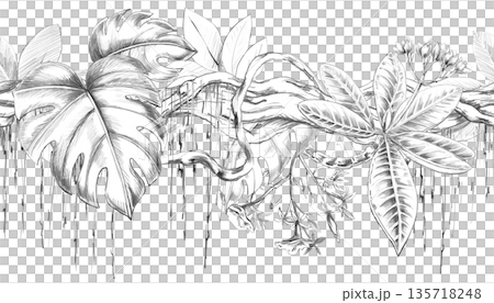 A seamless border with twisting vines, leaves, and tropical flowers. Isolated pencil illustration for home and hotel interiors, flower shops, and travel agencies. A seamless border with twisting vines, leaves, and tropical flowers. Isolated pencil illustration for home and hotel interiors, flower shops, and travel agencies. 135718248