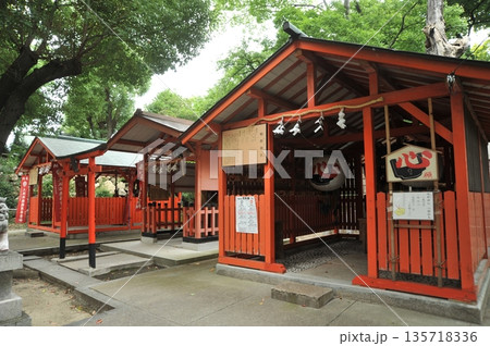 緑が美しい高津宮 135718336