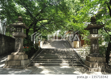 緑が美しい高津宮 緑が美しい高津宮 135718342