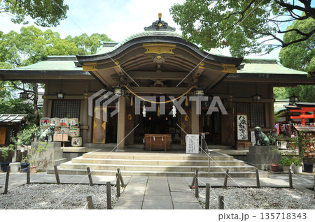 緑が美しい高津宮 緑が美しい高津宮 135718343