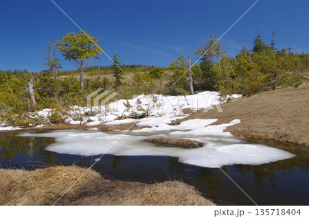 春の尾瀬・残雪の横田代湿原の池塘 135718404