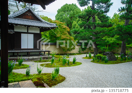 京都 廬山寺 桔梗の庭 京都 廬山寺 桔梗の庭 135718775