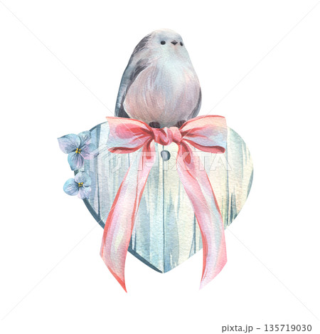 A cute long-tailed tit on a watercolor wooden gift heart with a pink ribbon and forget-me-nots. Hand-drawn illustration for spring cards, design, decor, and prints. A cute long-tailed tit on a watercolor wooden gift heart with a pink ribbon and forget-me-nots. Hand-drawn illustration for spring cards, design, decor, and prints. 135719030