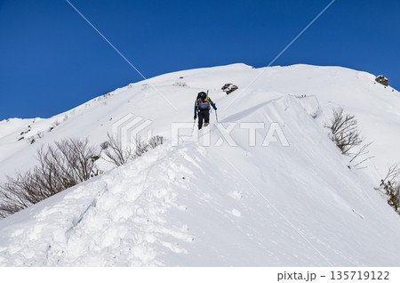 厳冬期の谷川岳天神尾根を登る登山者 厳冬期の谷川岳天神尾根を登る登山者 135719122