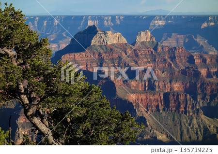 グランドキャニオン ノースリム《グランドキャニオンロッジ周辺からの夕景》 135719225