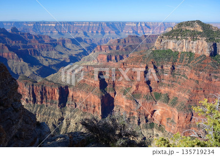 グランドキャニオン・ノースリム《グランドキャニオンロッジ周辺の絶景》 グランドキャニオン・ノースリム《グランドキャニオンロッジ周辺の絶景》 135719234