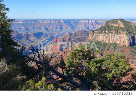 グランドキャニオン・ノースリム《グランドキャニオンロッジ周辺の絶景》 135719238