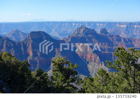 グランドキャニオン・ノースリム《グランドキャニオンロッジ周辺の絶景》 135719240