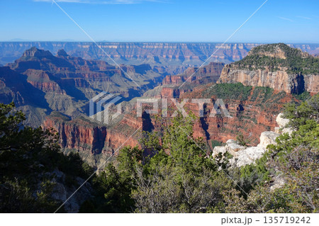 グランドキャニオン・ノースリム《グランドキャニオンロッジ周辺の絶景》 グランドキャニオン・ノースリム《グランドキャニオンロッジ周辺の絶景》 135719242