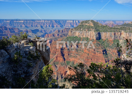 グランドキャニオン・ノースリム《グランドキャニオンロッジ周辺の絶景》 グランドキャニオン・ノースリム《グランドキャニオンロッジ周辺の絶景》 135719245