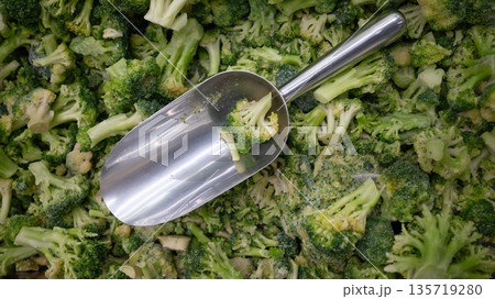 Frozen broccoli with metal scoop. Metal scoop in bulk frozen broccoli florets at supermarket vegetable section. Frozen broccoli with metal scoop. Metal scoop in bulk frozen broccoli florets at supermarket vegetable section. 135719280