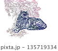 生い茂る植物と座っている虎 135719334
