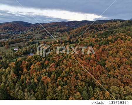 colorful forest view, striking aerial photograph showcasing vibrant fall colors and dense woodland canopy colorful forest view, striking aerial photograph showcasing vibrant fall colors and dense woodland canopy 135719354