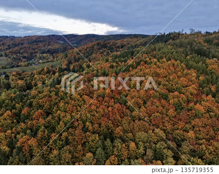 breathtaking aerial depiction emphasizing transition of seasons through vibrant leaves and rich landscapes breathtaking aerial depiction emphasizing transition of seasons through vibrant leaves and rich landscapes 135719355