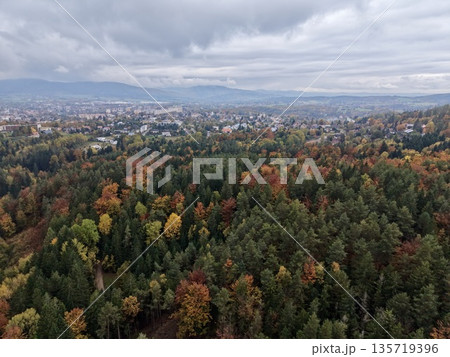 autumnal woodland fringe with distant metropolitan skyline and colorful foliage beneath brooding sky autumnal woodland fringe with distant metropolitan skyline and colorful foliage beneath brooding sky 135719396