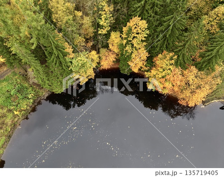 aerial view of rolling hilltops featuring autumnal canopies and varied vegetation for creative projects 135719405