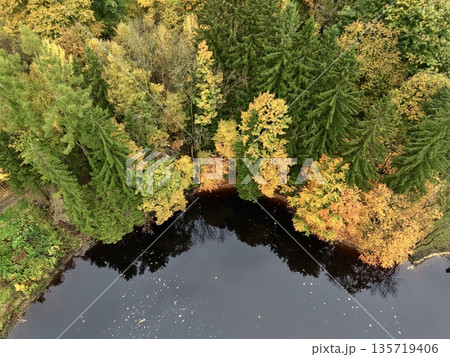 colorful fall forest with tranquil pond, calm seasonal scene featuring autumn trees and reflective pond 135719406