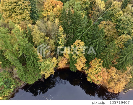 creative drone shot showcasing symmetrical treetops with vibrant autumn hues and reflective pond 135719407