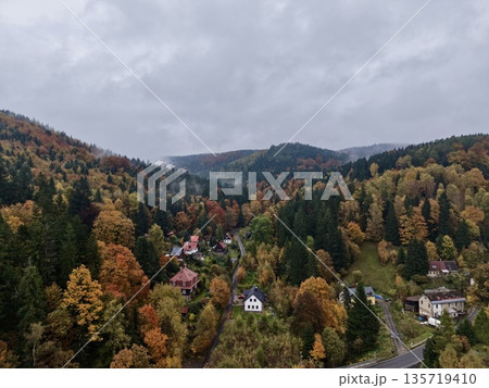 serene autumn forest scenery, peaceful mountain community surrounded by vibrant autumn foliage serene autumn forest scenery, peaceful mountain community surrounded by vibrant autumn foliage 135719410
