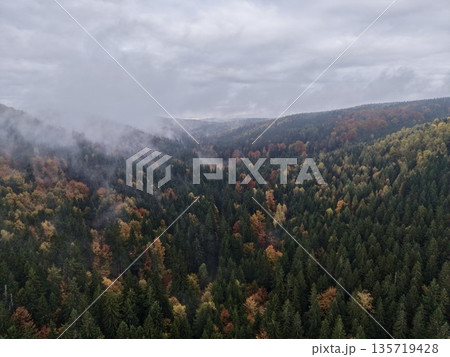 hazy valley shrouded in autumn mist and fog, enigmatic scene with foggy slopes and muted colors hazy valley shrouded in autumn mist and fog, enigmatic scene with foggy slopes and muted colors 135719428