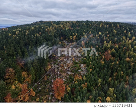spectacular fall scenery showcasing colorful foliage on steep mountain ledge with rocky surface 135719431