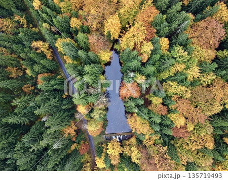 river slicing through densely foliaged forest, colorful canopy with reflective water path landscape river slicing through densely foliaged forest, colorful canopy with reflective water path landscape 135719493
