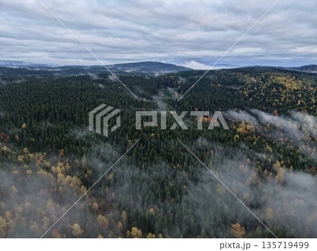 vast aerial perspective capturing fogdraped woodland valley surrounded by multicolored autumn hills vast aerial perspective capturing fogdraped woodland valley surrounded by multicolored autumn hills 135719499
