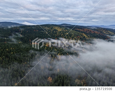 atmospheric layers of clouds and fog intertwine with seasonal tree canopies for visual storytelling atmospheric layers of clouds and fog intertwine with seasonal tree canopies for visual storytelling 135719500