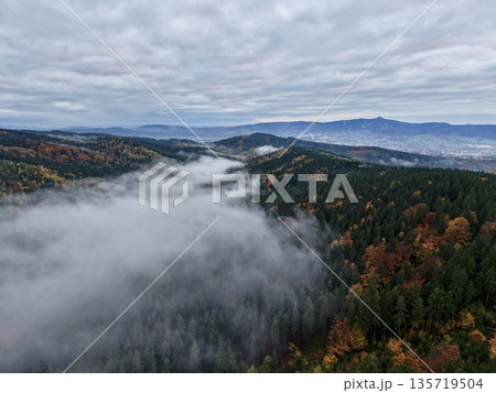 foggy ridges with autumn hues, scenic landscape featuring fog banks over mountain ridges during autumn foggy ridges with autumn hues, scenic landscape featuring fog banks over mountain ridges during autumn 135719504