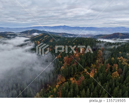 misty mountain scenery, autumn landscape with fog and trees, colorful hillside filled with mist and lush trees misty mountain scenery, autumn landscape with fog and trees, colorful hillside filled with mist and lush trees 135719505