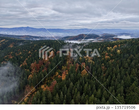 aerial view showcases lush coniferous forest with autumnal bursts and distinctive vertical textures aerial view showcases lush coniferous forest with autumnal bursts and distinctive vertical textures 135719506
