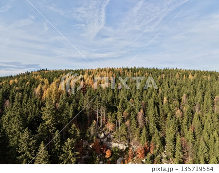 golden deciduous trees amidst evergreen woods, serene hillside with rustic cabins and golden sun patches golden deciduous trees amidst evergreen woods, serene hillside with rustic cabins and golden sun patches 135719584