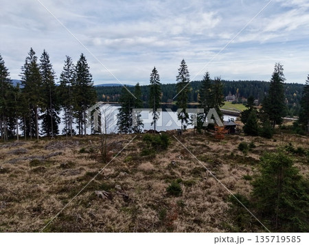 serene woodland retreat, peaceful lakeside landscape scene, quiet rural area with scenic water views 135719585