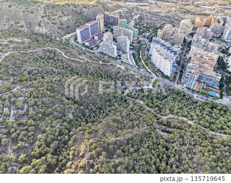 photograph capturing greenbelt edge where forest meets urban structures under clear sunlight 135719645