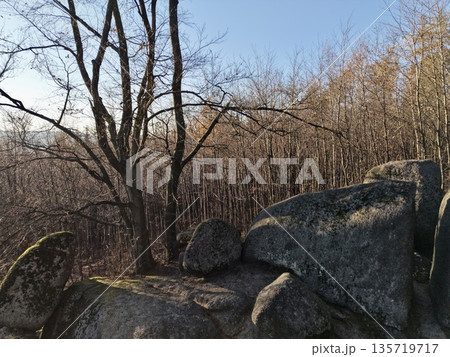 twisted branches frame panoramic valley scene, cool atmosphere with moss patches and dry grass on ledges twisted branches frame panoramic valley scene, cool atmosphere with moss patches and dry grass on ledges 135719717