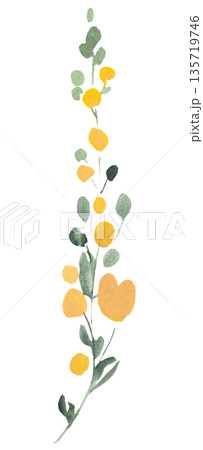 Watercolor yellow wild flower isolated illustration, pastel floral wedding and greeting element 135719746