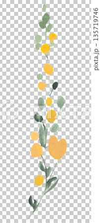 Watercolor yellow wild flower isolated illustration, pastel floral wedding and greeting element 135719746