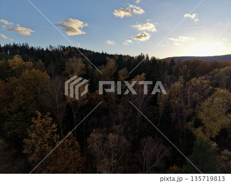 rustic hiking trail along edge of colorful autumn forest with textured branches and clear air rustic hiking trail along edge of colorful autumn forest with textured branches and clear air 135719813